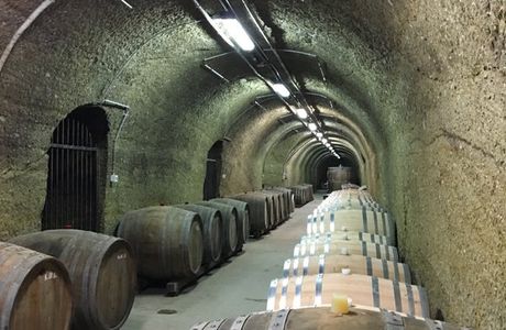 St. Andrea Pinceszet Winery