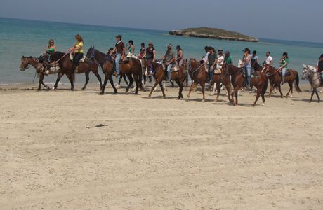 Dor Ranch