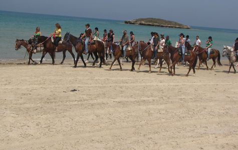Dor Ranch 1