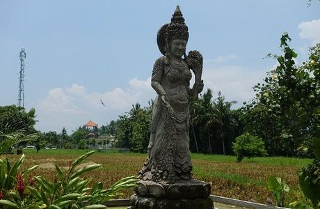 Tour Bali Drivers