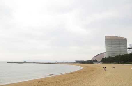 Momochi Seaside Park