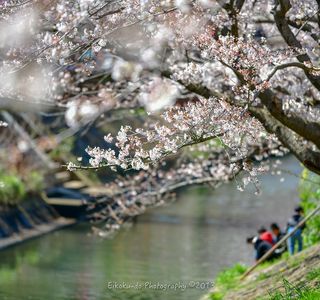 Ebi River