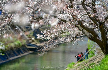 Ebi River