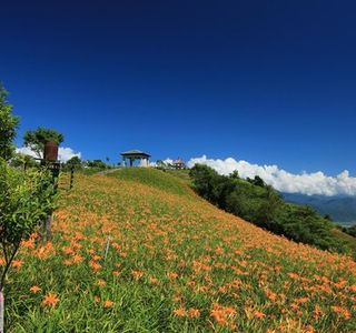 Sixty Stone Mountain - Mt. Liushidan