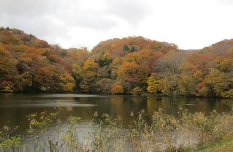 Lake Juniko