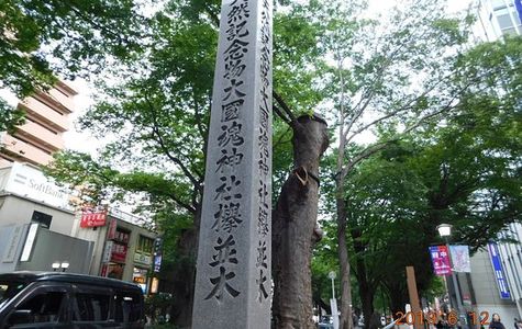 The road lined with Japanese Zelkova near Babadaimon Gate 1