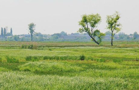 Bourgoyen-Ossemeersen Nature Reserve
