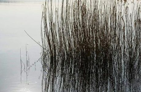 Lungolago di Gavirate