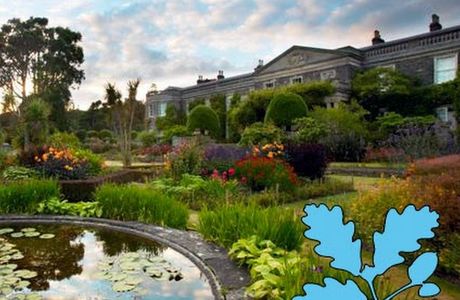 Garden of Reflection