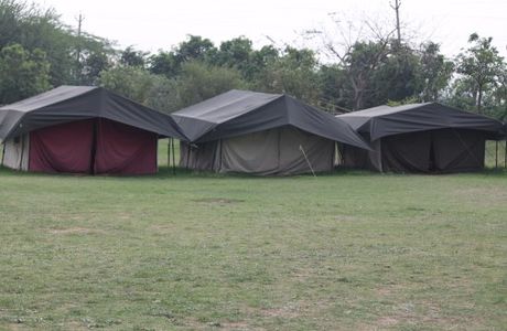 Camp Wild
