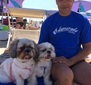 Islamorada - Dog Beach