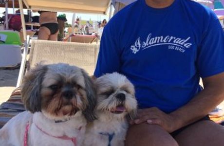 Islamorada - Dog Beach