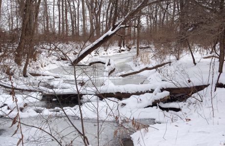 Coffee Creek Watershed Preserve