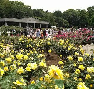 Jindai Botanical Park