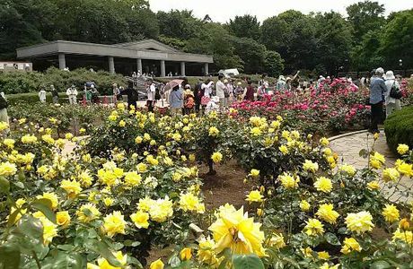 Jindai Botanical Park