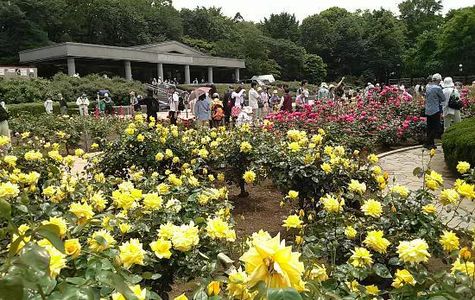 Jindai Botanical Park 1
