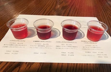 Grace Wine Chitose Winery