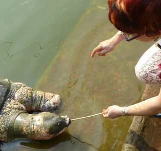 Bayazid Bostami Mazar