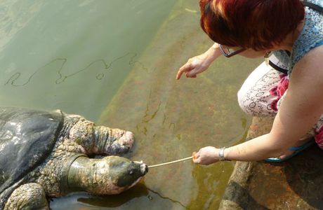 Bayazid Bostami Mazar