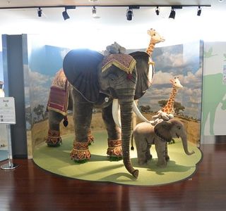 Steiff Discovery Walk