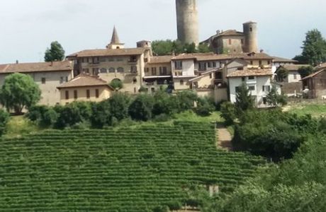 Comune di Castiglione Falletto