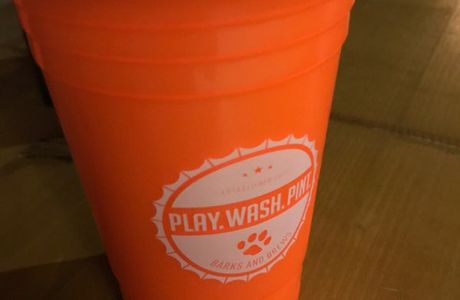 Play Wash Pint.