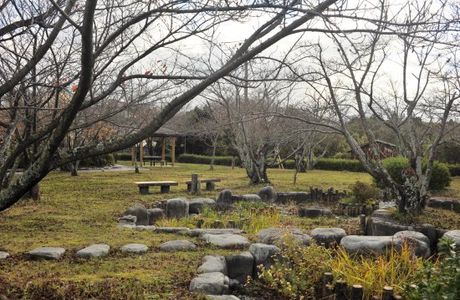 Nawa Park