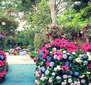 Hua Lou Farm