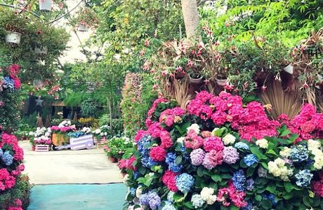 Hua Lou Farm
