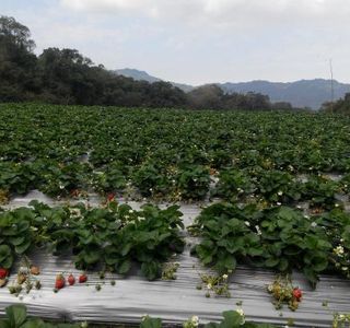 Dawo Ecological Park