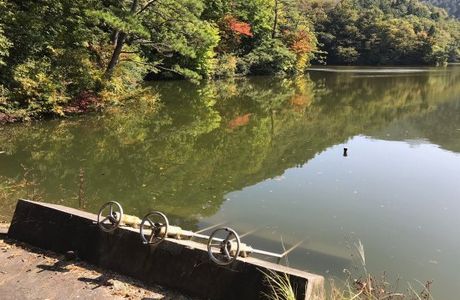 Ono Pond