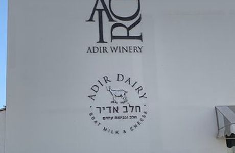 Adir Winery