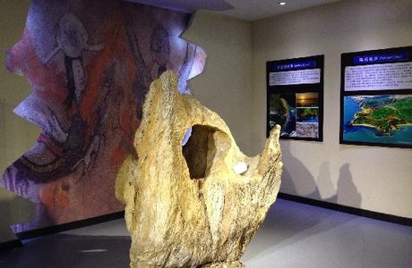 Jinshitan Geological Museum