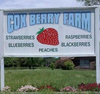 Cox Berry Farm & Nursery