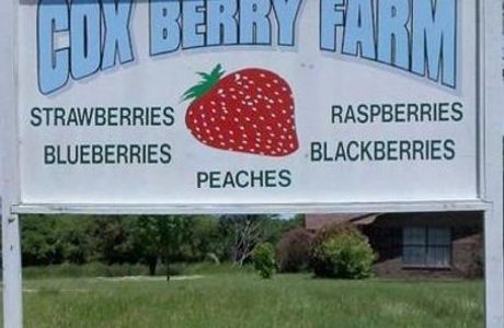 Cox Berry Farm & Nursery