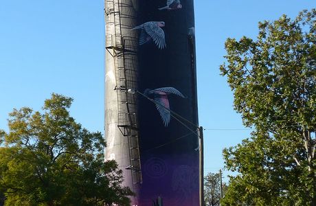 Coonamble Water Tower