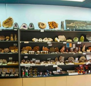 Crystal Kingdom Museum