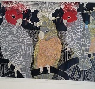 Wacky Bird Gallery