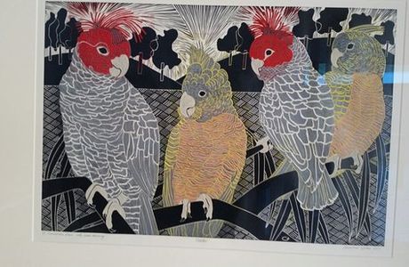 Wacky Bird Gallery