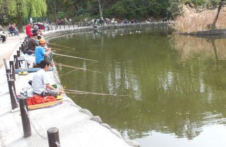 Akatsuka Tameike Park