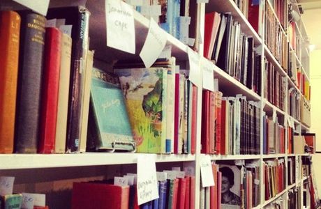 Urso de Oculos International Bookshop