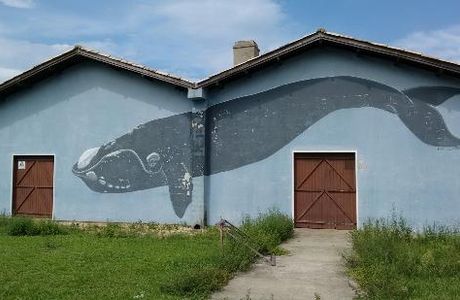 Museu da Baleia de Imbituba