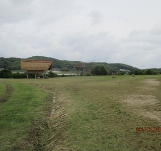 Haruno Tsujii Ikikoku Oto Fukugen Park