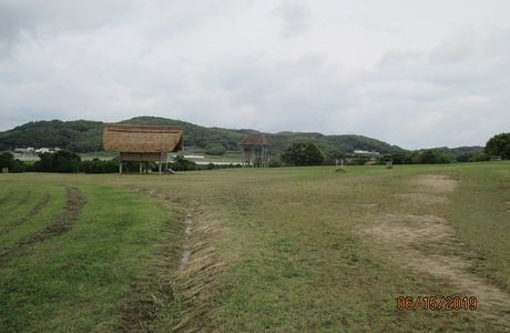 Haruno Tsujii Ikikoku Oto Fukugen Park