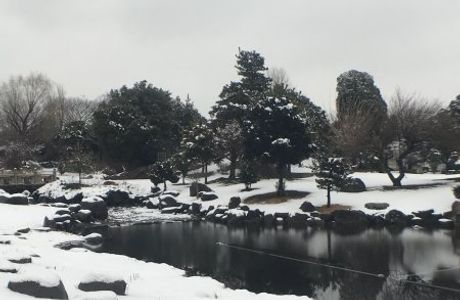 Isesaki Shimin no Mori Park
