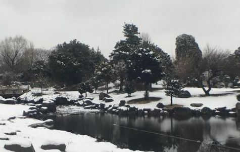 Isesaki Shimin no Mori Park 1