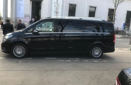 Chauffeur Cactus