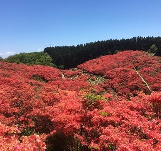 Katsuragi Sanroku Park