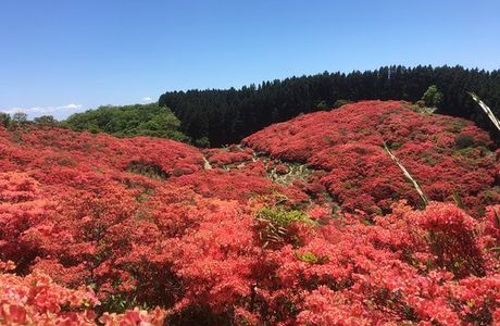 Katsuragi Sanroku Park