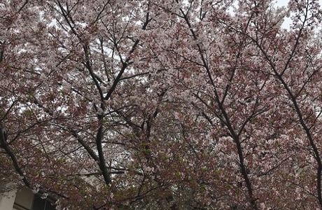 Nambu Park